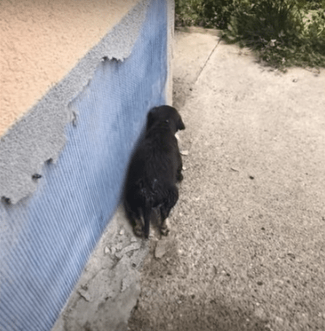 Bebe golpeado por estupidez avergonzado de darse la vuelta sintio