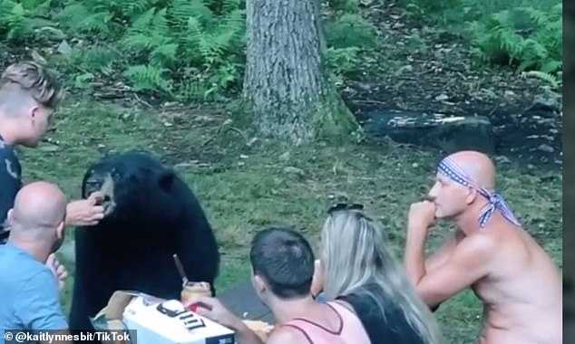 1659759835 657 wild black bear se une al picnic familiar y