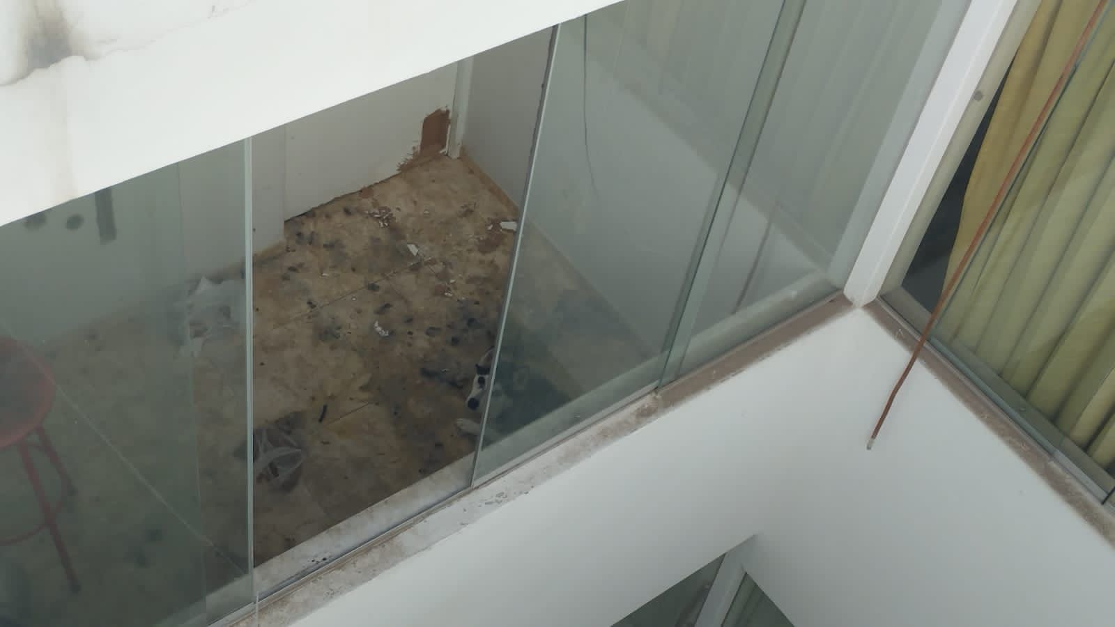 Policías que intentaban rescatar mascota abandonada en edificio encontraron cultivos de marihuana - EPA Noticias 4 1660453808 147 policias que intentaban rescatar mascota abandonada en edificio encontraron cultivos