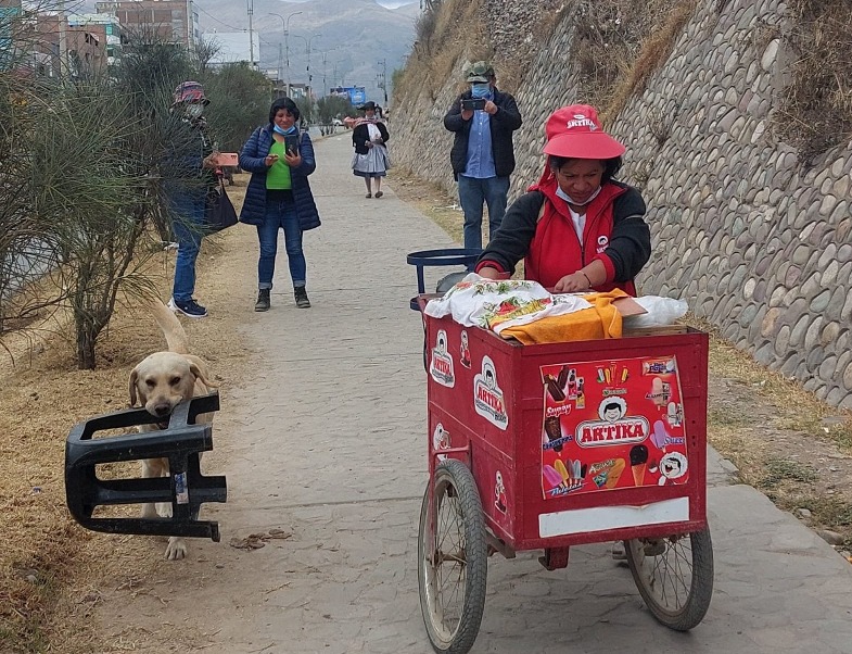 1661231601 260 cachorro es captado ayudando a su duena que vende helados