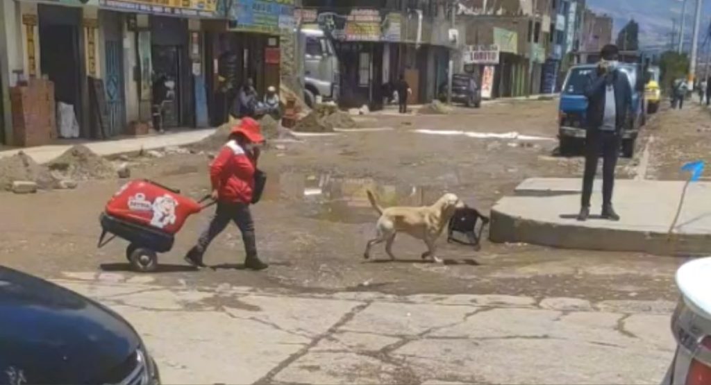 Cachorro es captado ayudando a su duena que vende helados