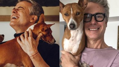 Diego bertie las mascotas del difunto actor fueron adoptadas confirma