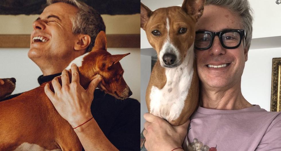Diego Bertie: las mascotas del difunto actor fueron adoptadas, confirma su sobrina 1 Diego Bertie las mascotas del difunto actor fueron adoptadas confirma