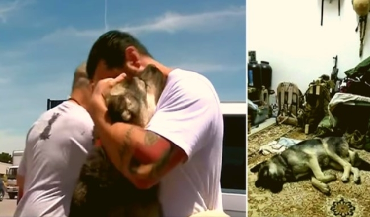 Un soldado devoto adopta un perro que lo ayudó en la guerra de Irak 1 Un soldado devoto adopta un perro que lo ayudo en