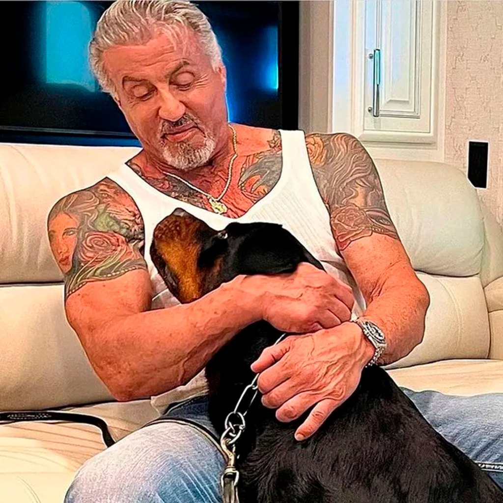 1662182901 991 la esposa de sylvester stallone se divorcia despues de 25