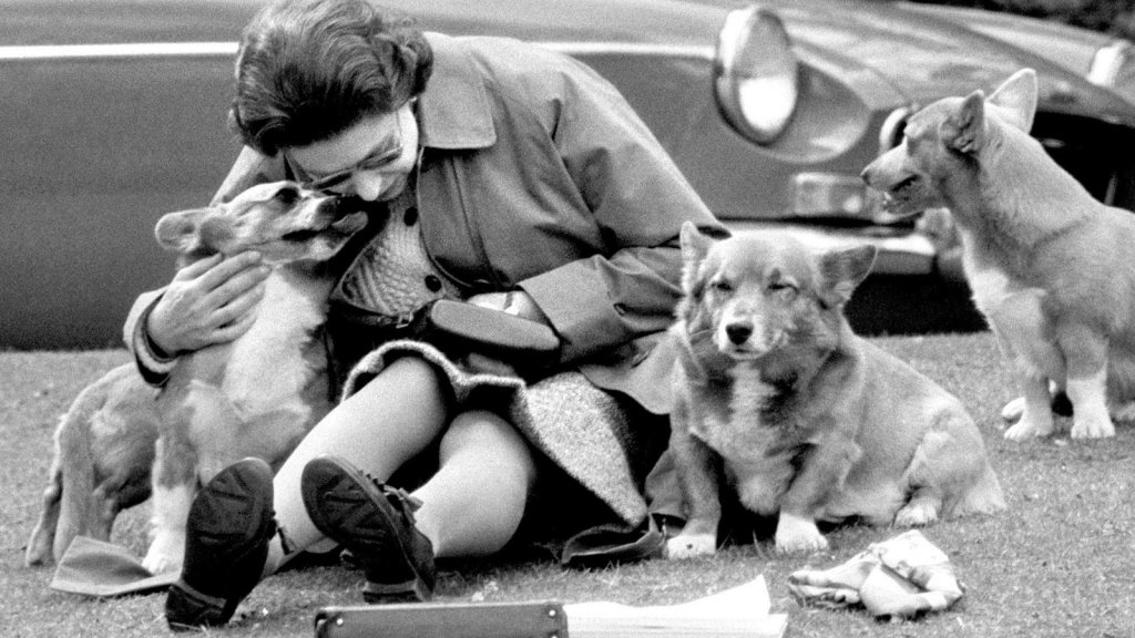 1662874641 746 ¿que sera de los queridos perros de la reina isabel