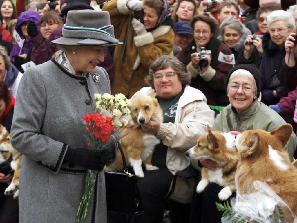 1663393383 995 ¿que sera de los queridos perros de la reina isabel