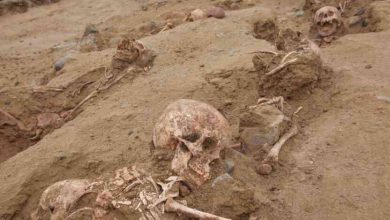 Hallazgo arqueologico en huanchaco descubren 76 nuevas tumbas de ninos