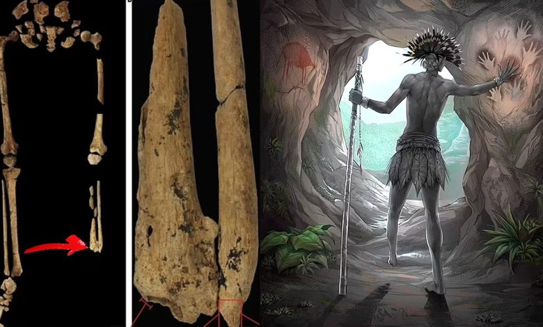 Descubren la evidencia de amputación quirúrgica más antigua del mundo: ¡31.000 años! 1 Descubren evidencia amputacion quirurgica mas antigua mundo portada