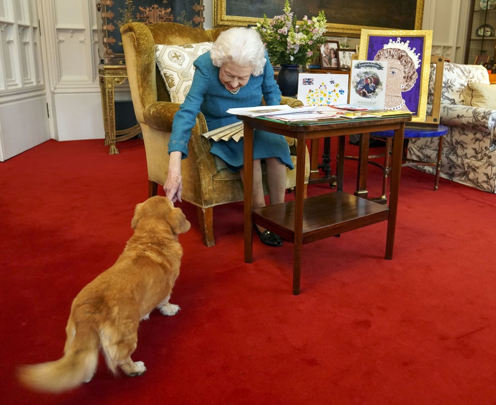 Que sera de los queridos perros de la reina isabel