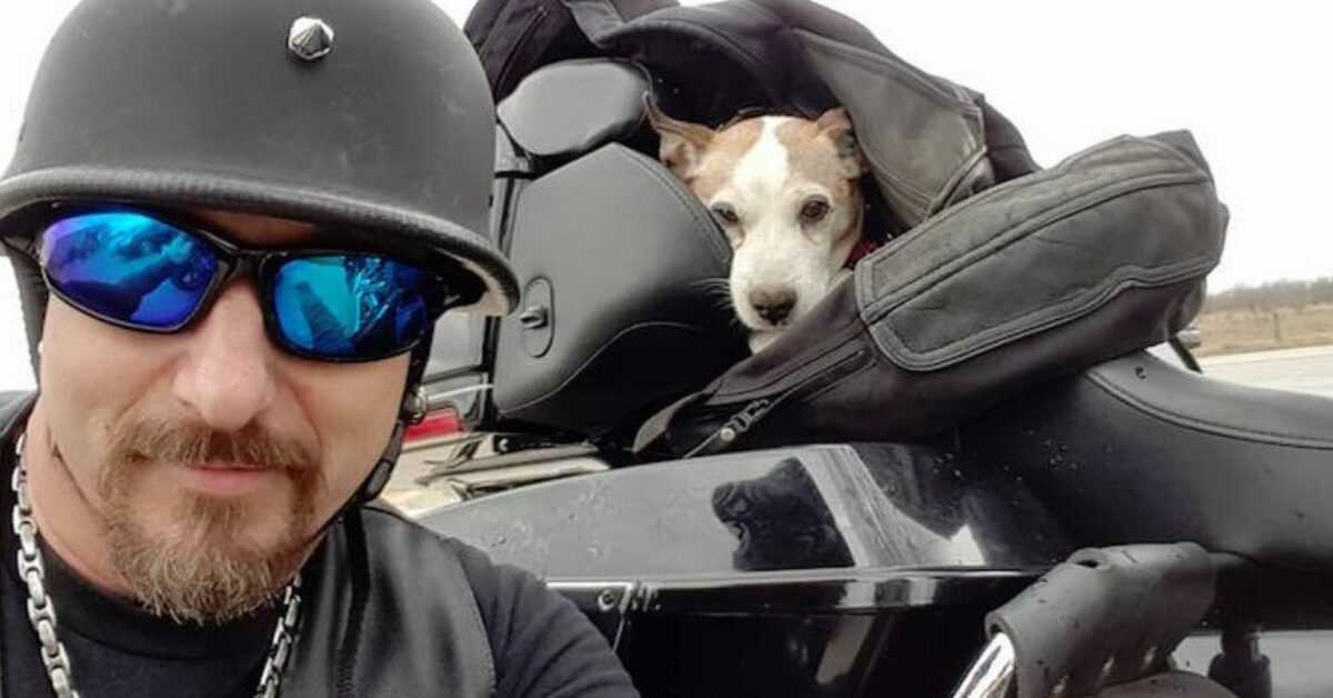 Motociclista ve a un hombre golpeando a un perro en la calle, lo salva y lo convierte en su nuevo pasajero 1 1667445711 Motociclista ve a un hombre golpeando a un perro en