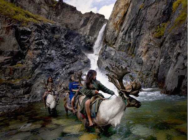 1668916045 413 fotos fascinantes de renos en mongolia mas de 8 fotos