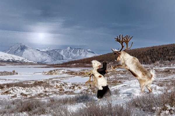 1668916047 159 fotos fascinantes de renos en mongolia mas de 8 fotos