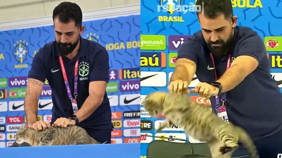 Por tirar un gato, la selección brasileña recibió una demanda y una multa millonaria 1 1670995543 Por tirar un gato la seleccion brasilena recibio una demanda