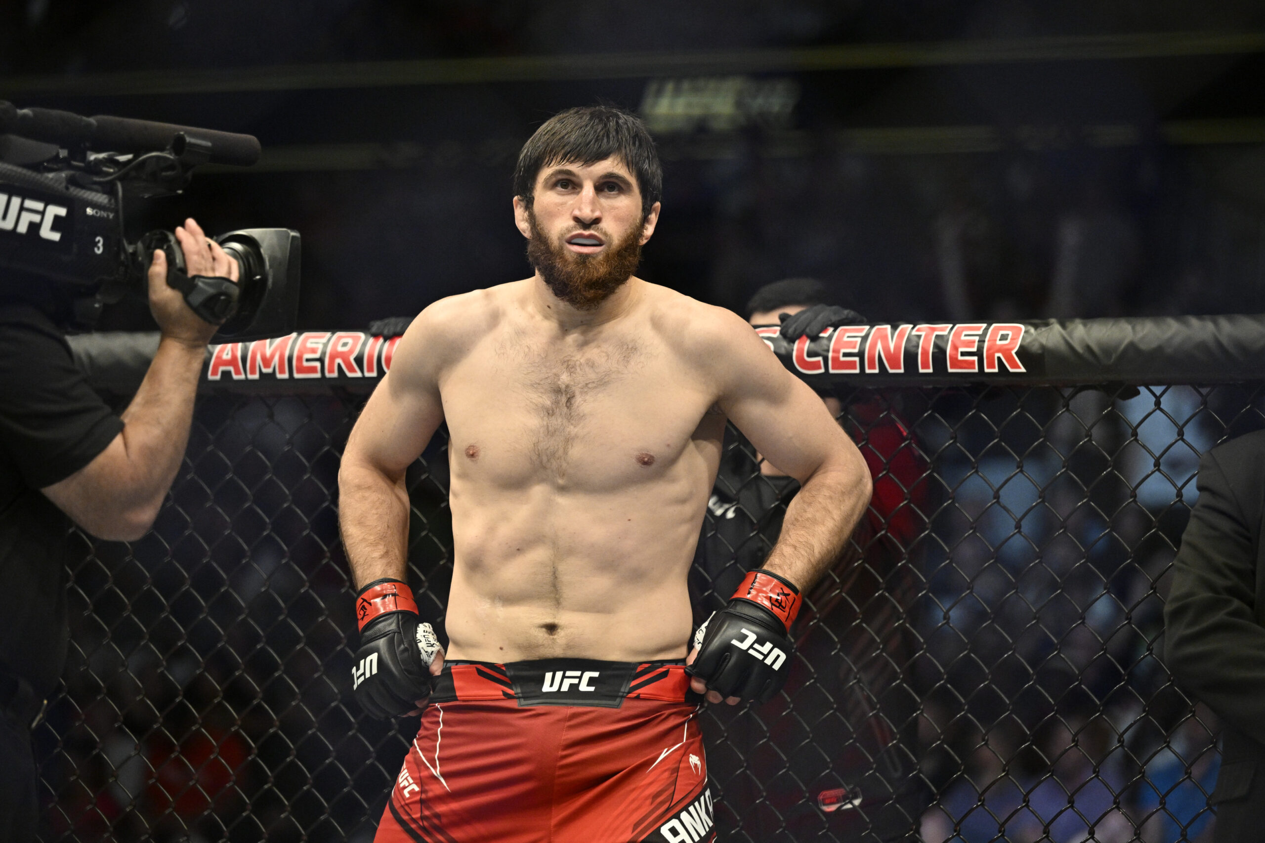 Magomed Ankalaev provoca a Glover Teixeira tras negarse a enfrentarlo en el nuevo evento principal de UFC 282 1 Magomed Ankalaev provoca a Glover Teixeira tras negarse a enfrentarlo