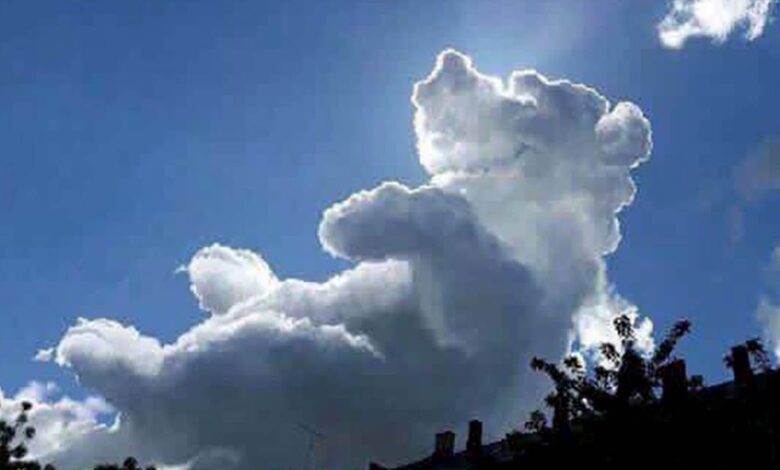 Nube con forma de winnie the pooh se cierne sobre
