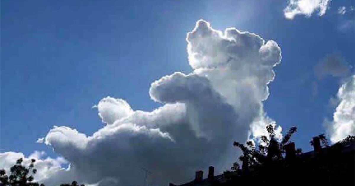 Nube con forma de Winnie the Pooh se cierne sobre
