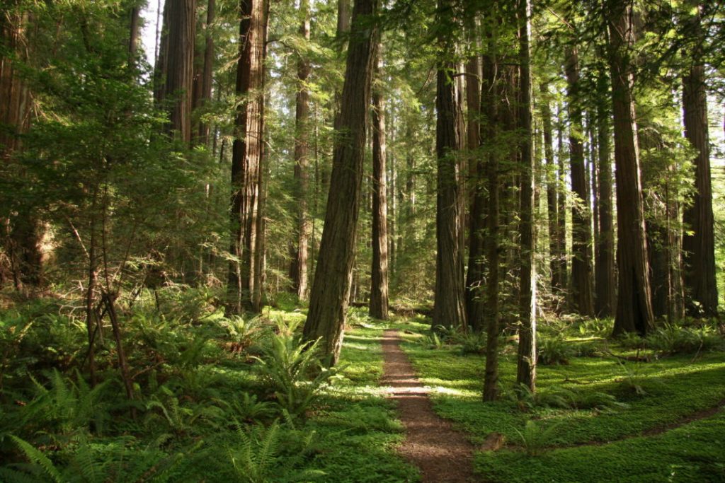 16 lugares de películas de Star Wars que puedes visitar aquí en la Tierra - OVNIs y misterios 46 1674239674 905 16 lugares de peliculas de star wars que puedes visitar