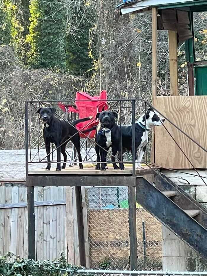 1674713126 561 hombre sin hogar corre al refugio en llamas y salva