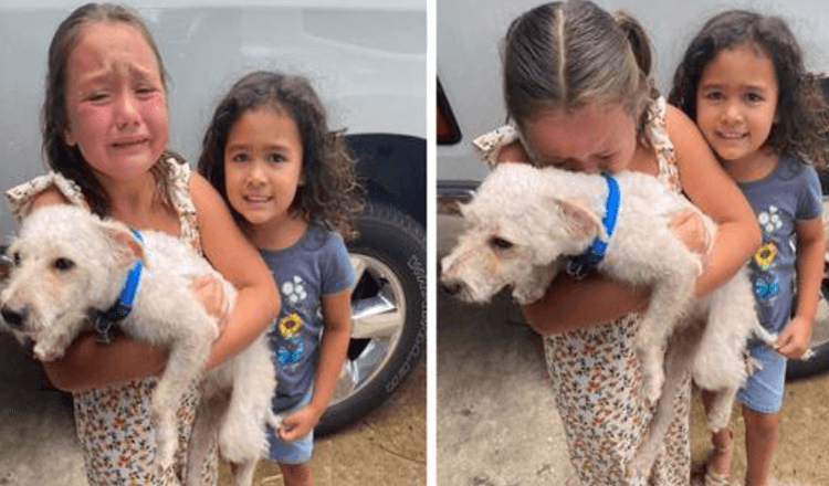 La niña no puede dejar de llorar de alegría cuando finalmente encuentran a su perro perdido 1 1675837228 la nina no puede dejar de llorar de alegria cuando