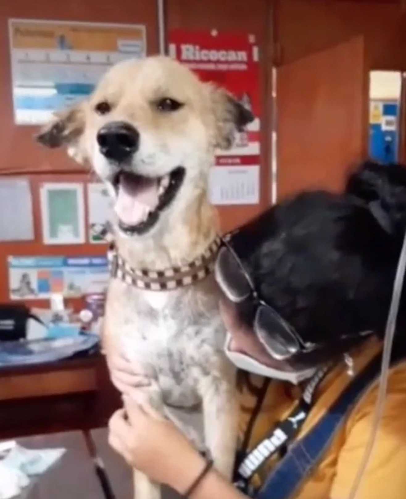 1676615444 590 calvo y muy enfermo se acurruco solo en un rincon