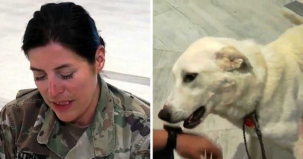 1676961378 29 la soldado esperaba reencontrarse con el perro que habia rescatado