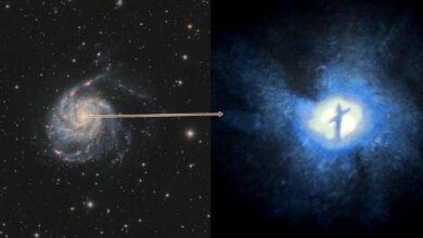 1677698616 puerta al paraiso el telescopio hubble de la nasa encuentra