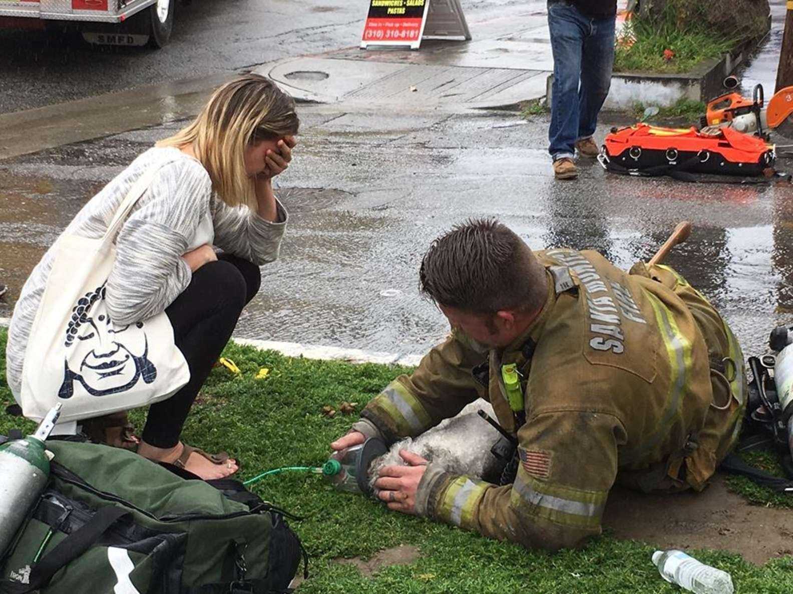 1677912543 662 los bomberos se niegan a renunciar a rescatar perros pequenos