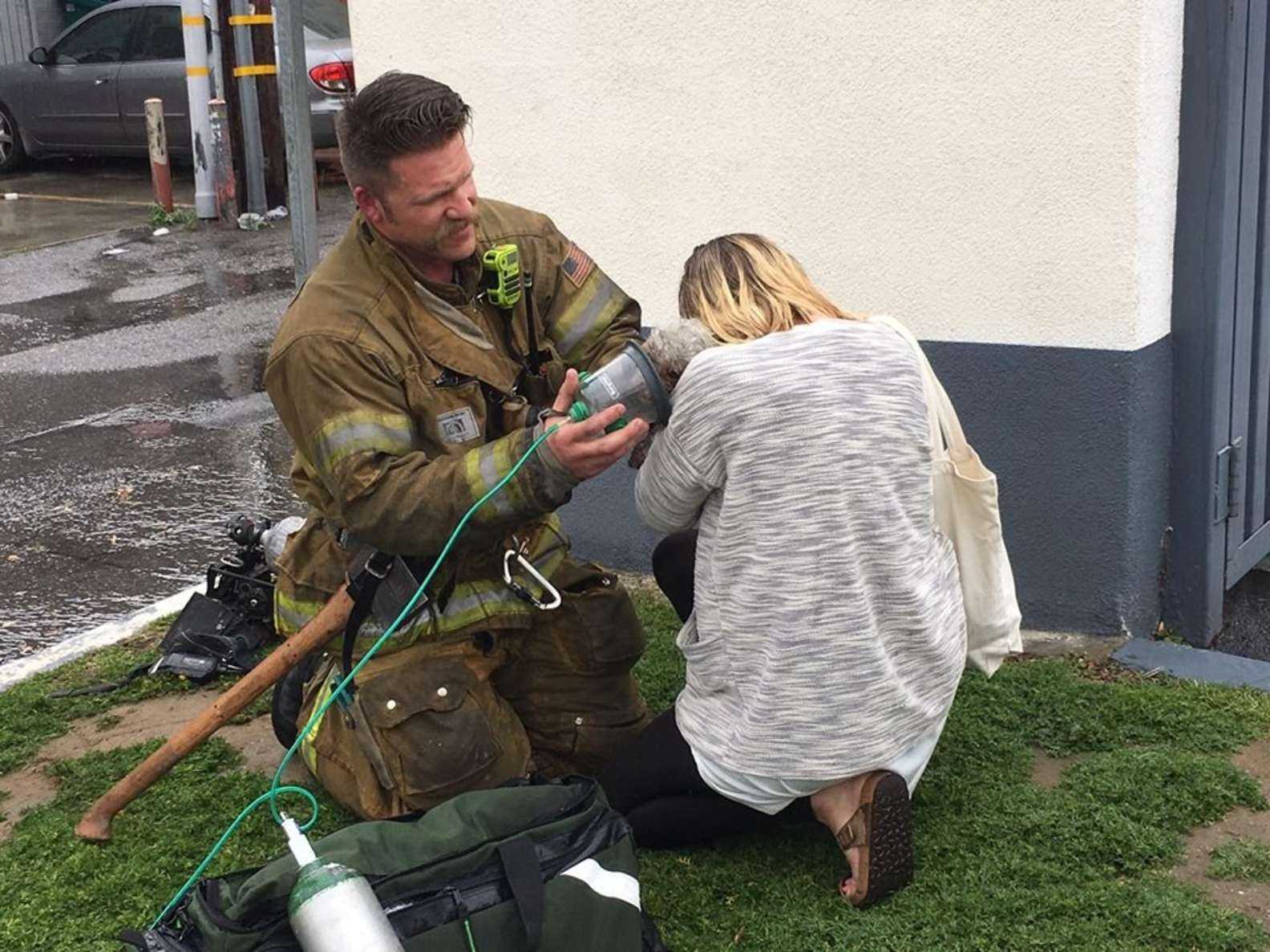 1677912545 685 los bomberos se niegan a renunciar a rescatar perros pequenos