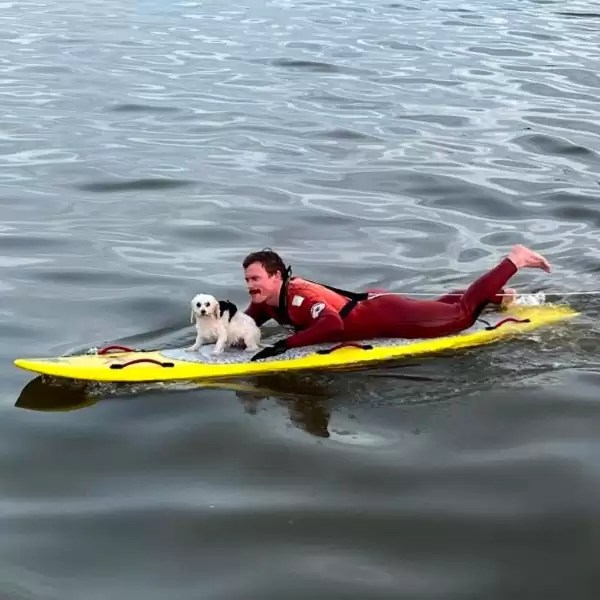 Hombre rescata perro en tabla de surf
