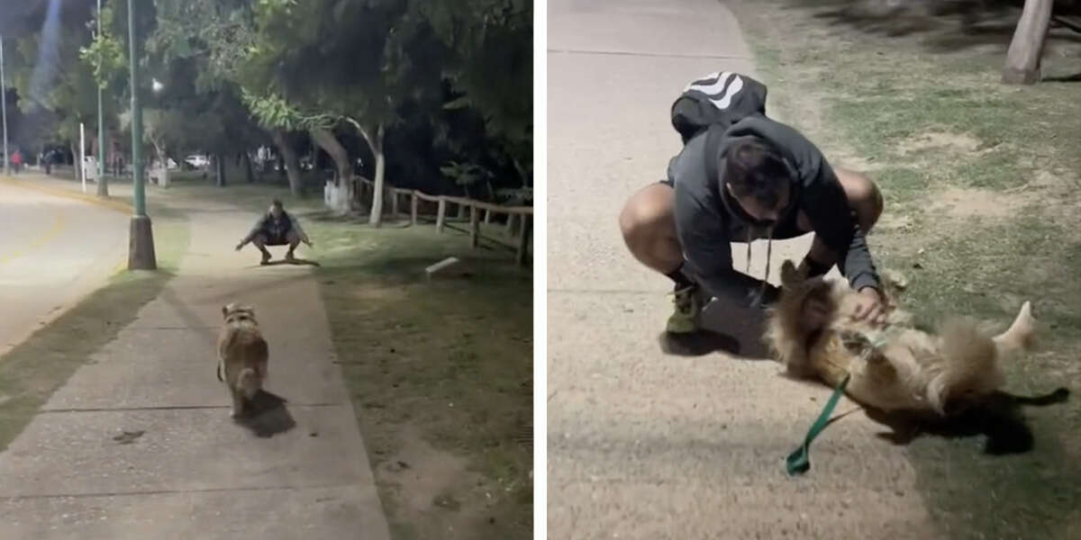 Mujer conoce a su ex en el parque y se