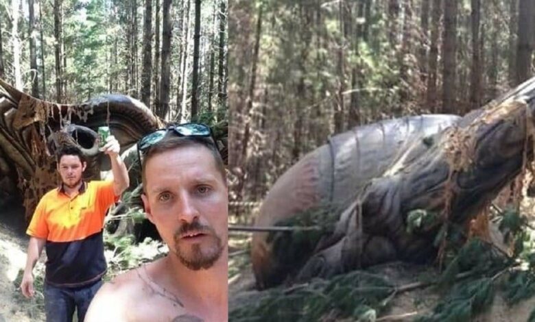 Fotos de supuesta nave extraterrestre lanzada en Australia - OVNI y Misterios 1 1683925976 fotos de supuesta nave extraterrestre lanzada en australia ovni