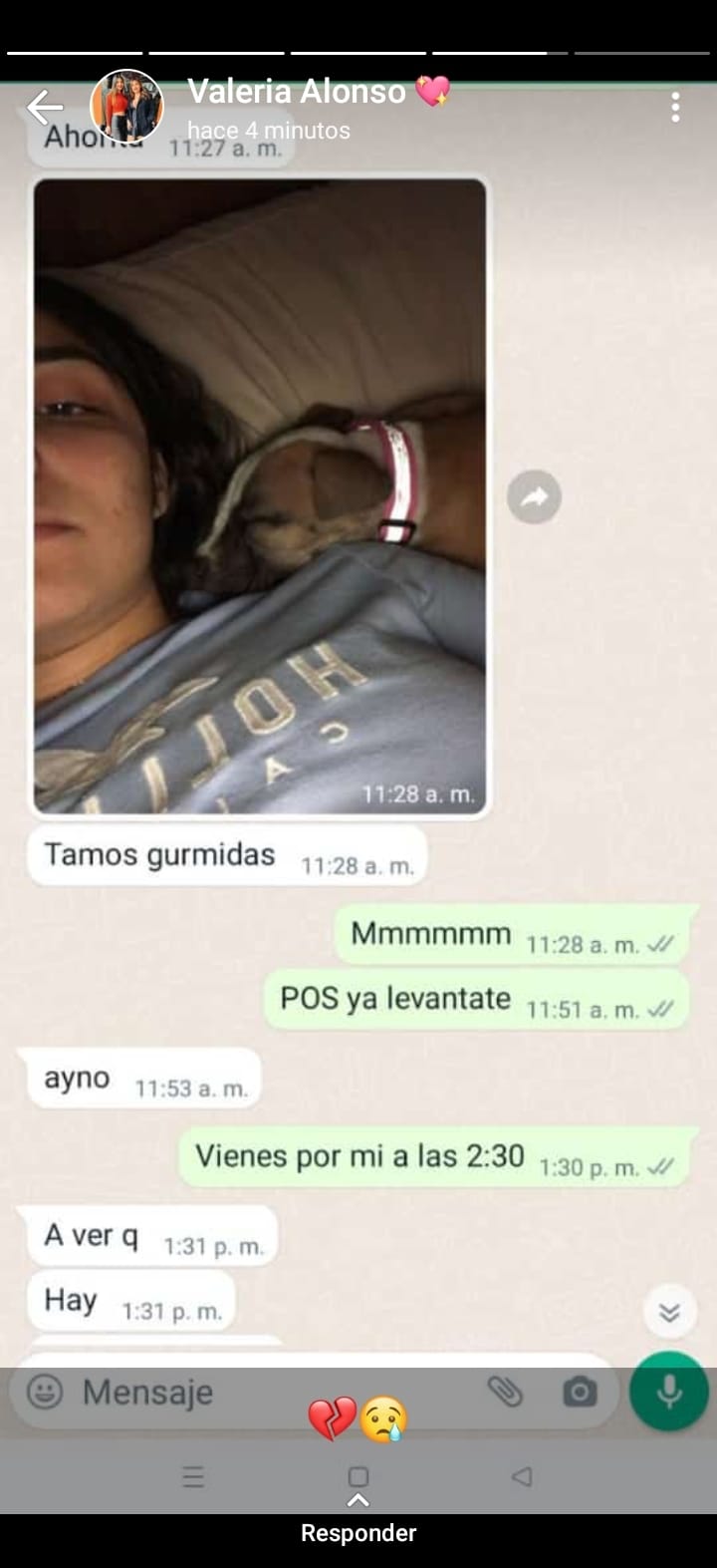 1684705356 3 camila la perra que murio de pena a dos dias