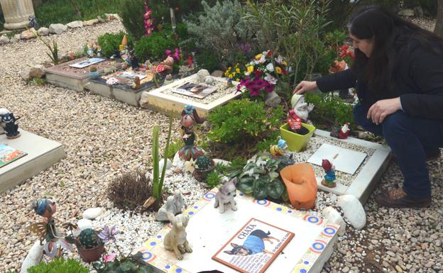 Cementerios de animales en valencia: el eterno descanso de las mascotas valencianas | las provincias
