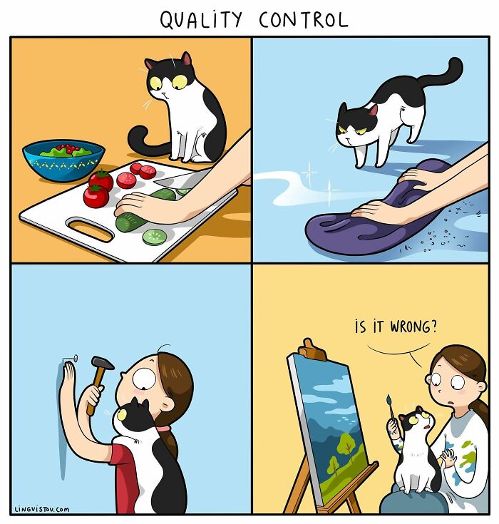 46 nuevos cómics divertidos sobre la vida real de los dueños de gatos