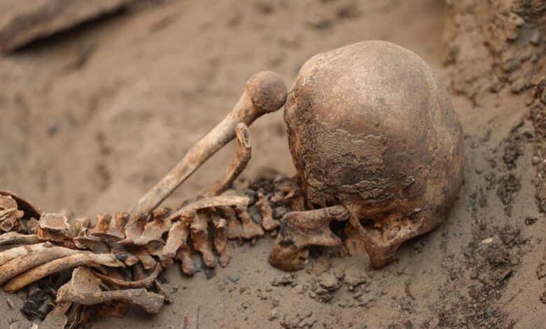 Cementerio prehispánico de Macatón en Huaral podría albergar más Señores del Mar 1 Cementerio prehispanico de macaton en huaral podria albergar mas senores