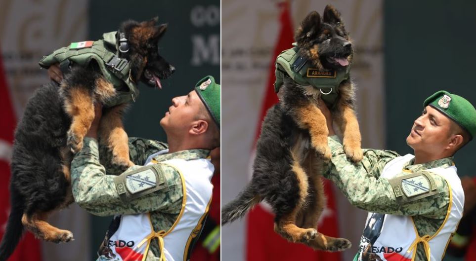 Mexico presento a su nuevo cachorro entrenado como rescatista de