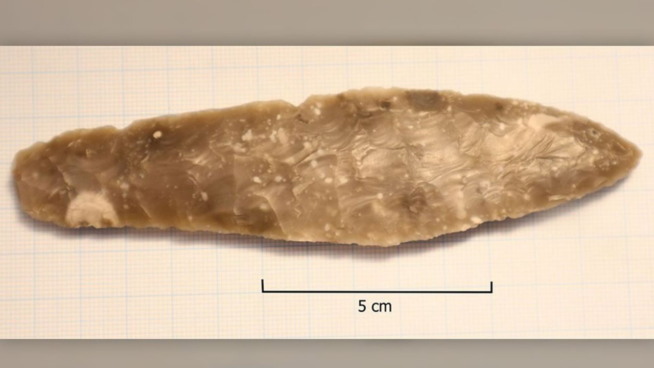 Niña de 8 años desentierra una daga de la Edad de Piedra junto a su colegio en Noruega 1 daga edad piedra noruega portada
