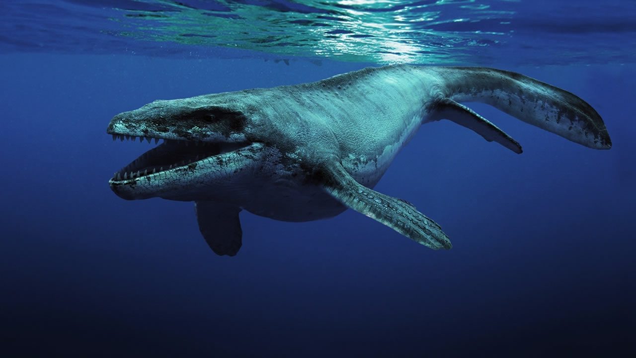 Hallado enorme “reptil marino” prehistórico dos veces más grande que una orca, revelan fósiles 1 reptil marino portada