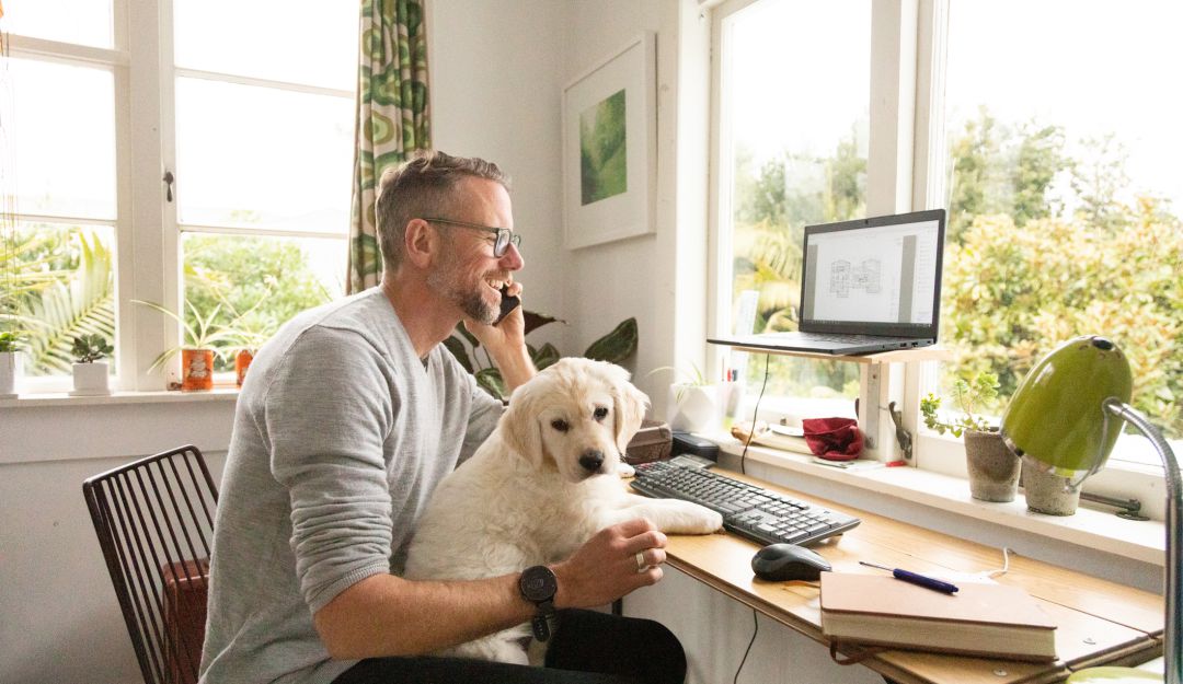 Mascotas en el trabajo los beneficios de llevar a tu perro a la oficina los beneficios de llevar a tu perro a la oficina