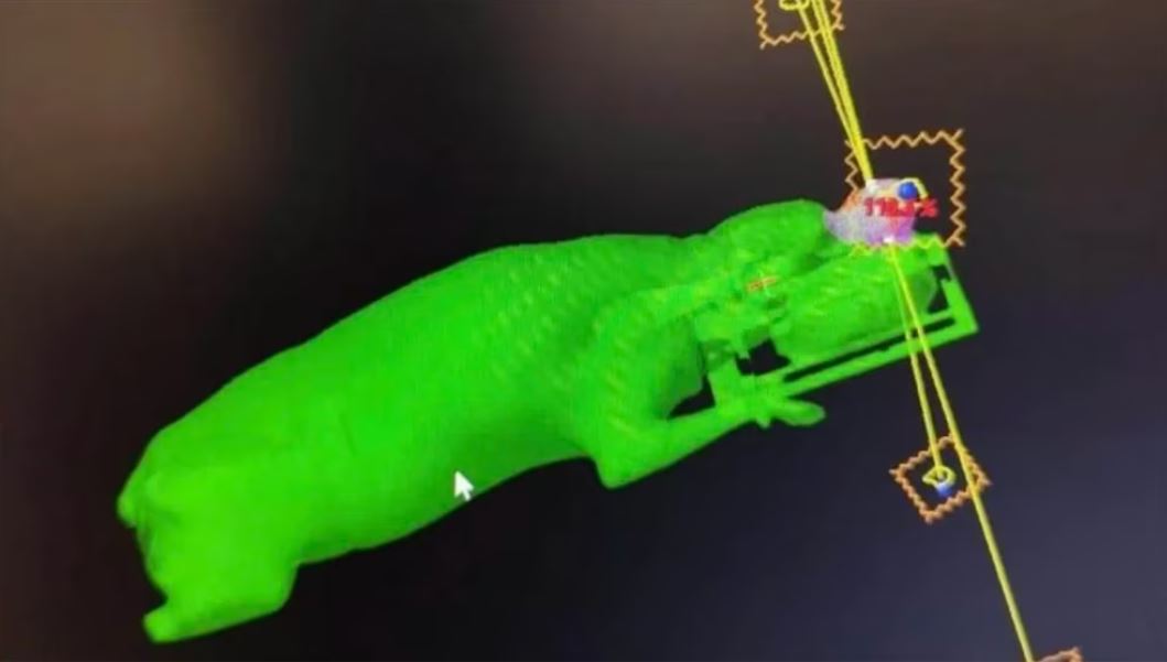 Polemica por un hospital que trato perros con radioterapia en