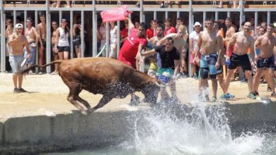 1689288377 toro se ahoga mientras huia de la multitud en un