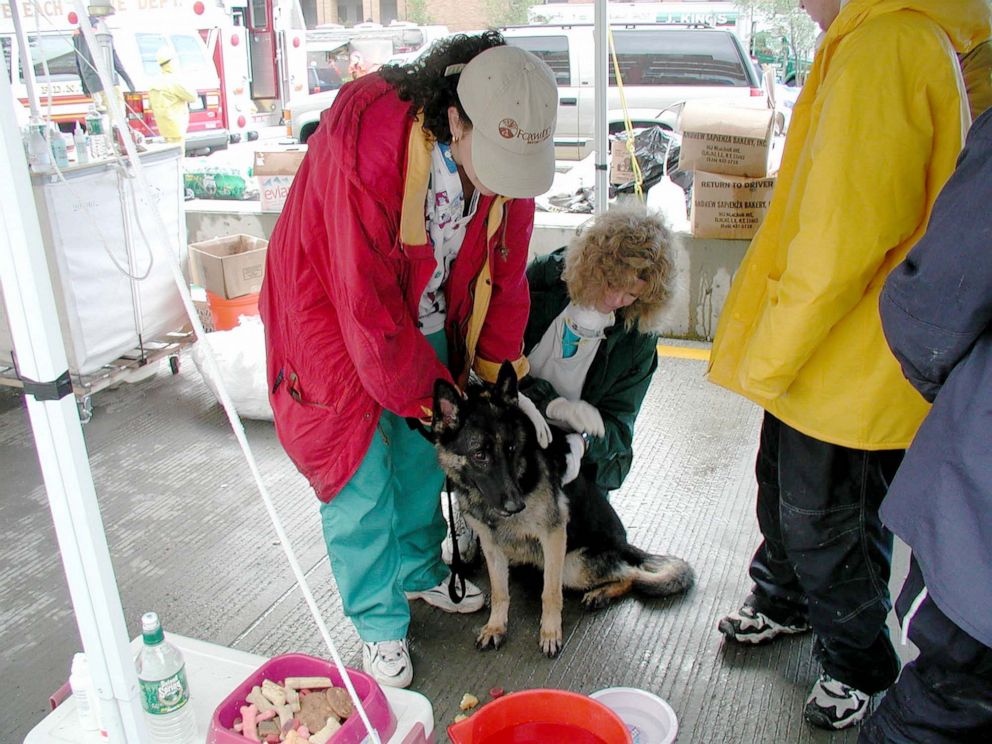 Foto: regina benfante, voluntaria de la spca del condado de suffolk (con chaqueta roja), atiende a un perro de búsqueda y rescate.