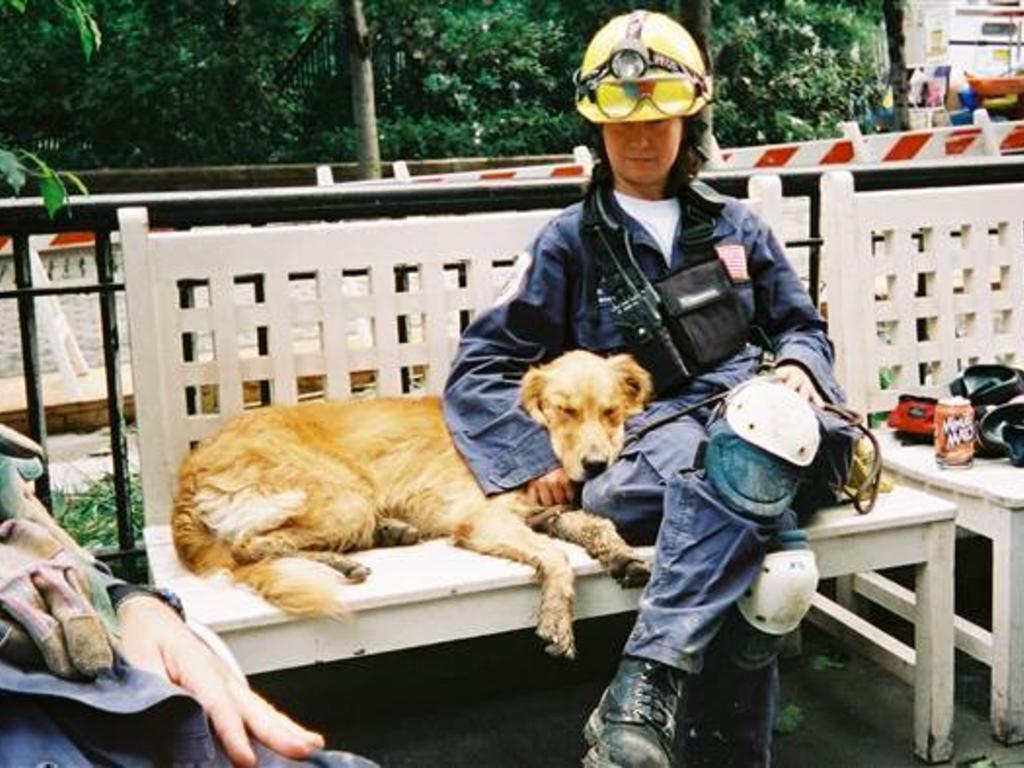 Murió el último de los perros rescatados del 11-s