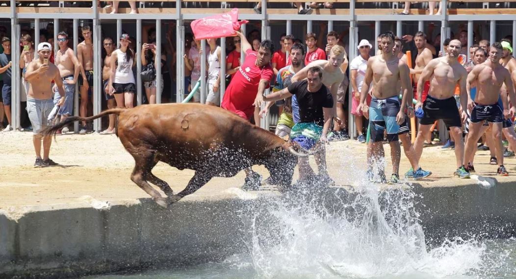 Toro se ahoga mientras huia de la multitud en un