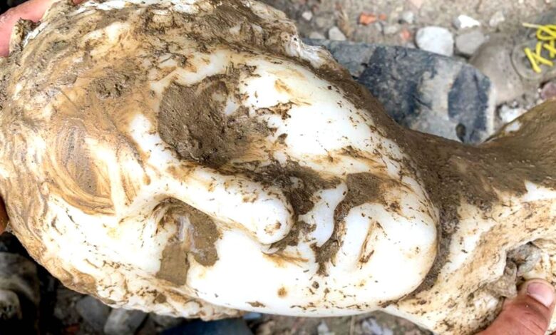 Obreros de construcción hallan cabeza de mármol intacta en Roma. Podría representar a Afrodita 1 Cabeza marmol roma portada