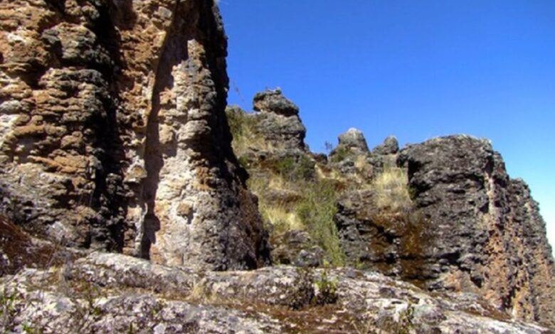 Ayacucho conoce el complejo litico de salviayocc y el bosque