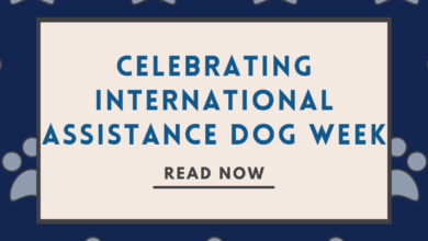 Celebrating International Assistance Dog Week