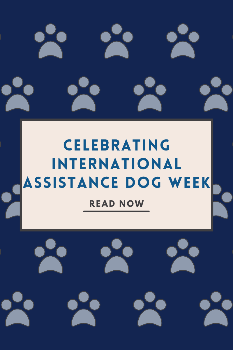 Celebrating International Assistance Dog Week