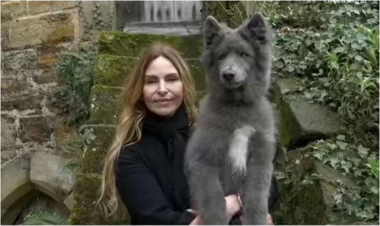 1699653855 Cansada de buscar el perro perfecto mujer hizo su propia